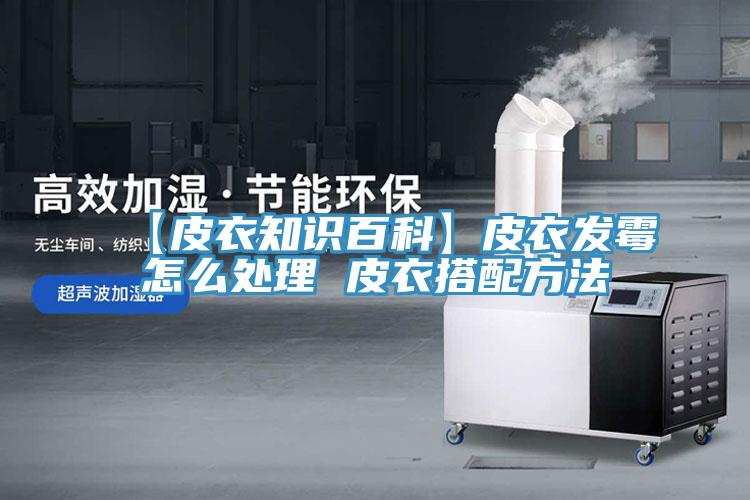 【皮衣知識百科】皮衣發霉怎么處理 皮衣搭配方法