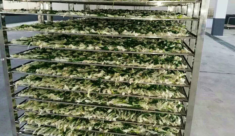 菜干需求一直都很大，蔬菜烘干機很有市場
