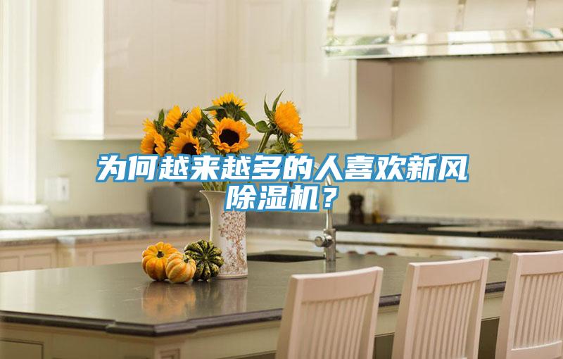 為何越來越多的人喜歡新風除濕機？