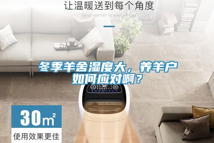 冬季羊舍濕度大，養羊戶如何應對?。?></div>
								<div   id=