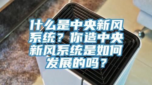什么是中央新風系統？你造中央新風系統是如何發展的嗎？