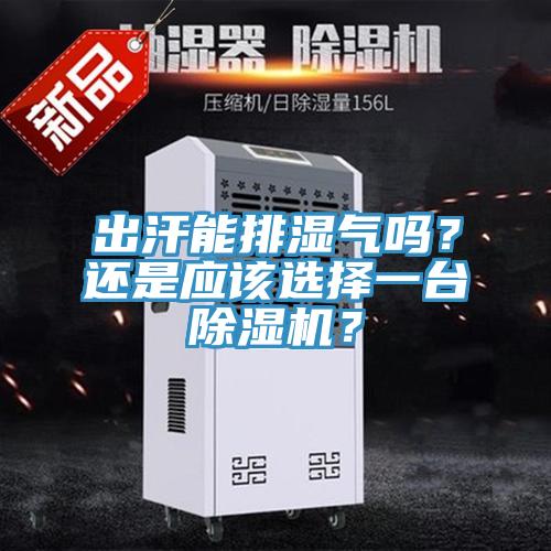 出汗能排濕氣嗎？還是應該選擇一臺除濕機？