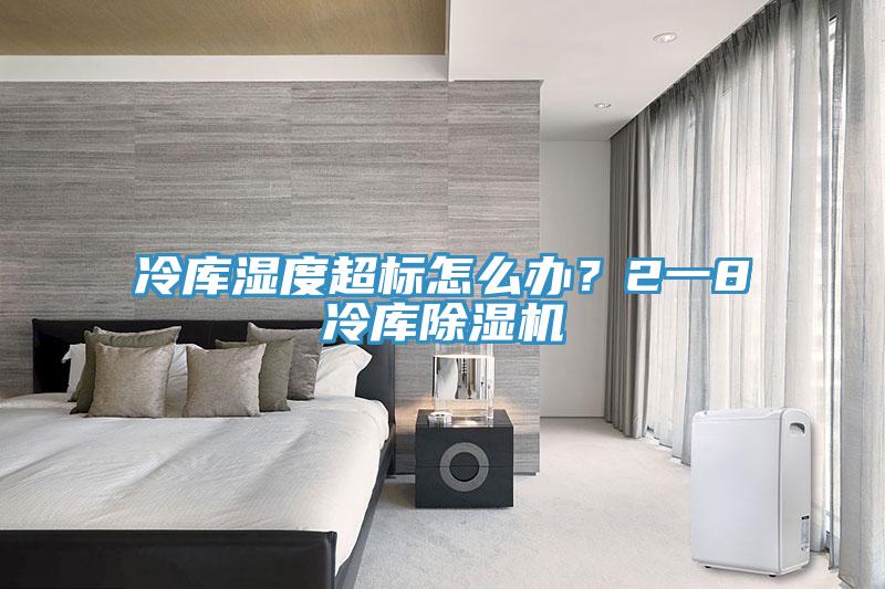 冷庫濕度超標(biāo)怎么辦？2一8℃冷庫除濕機(jī)