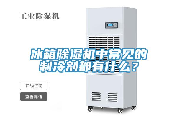 冰箱除濕機中常見的制冷劑都有什么？