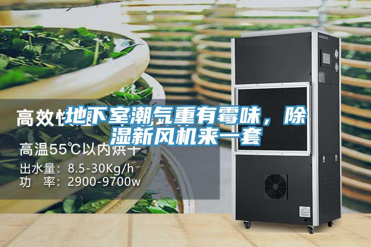 地下室潮氣重有霉味，除濕新風(fēng)機(jī)來一套