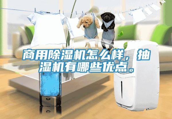 商用除濕機(jī)怎么樣，抽濕機(jī)有哪些優(yōu)點(diǎn)。