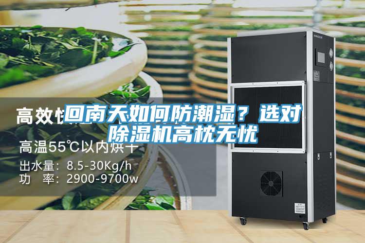 回南天如何防潮濕？選對除濕機高枕無憂