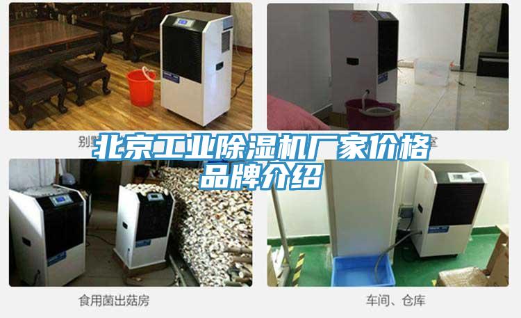 北京工業除濕機廠家價格品牌介紹