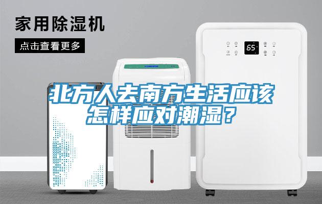 北方人去南方生活應該怎樣應對潮濕？