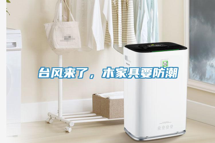 臺風來了，木家具要防潮
