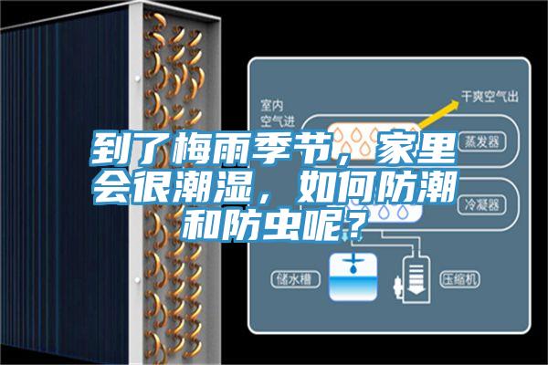 到了梅雨季節(jié)，家里會(huì)很潮濕，如何防潮和防蟲(chóng)呢？