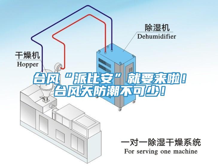 臺風(fēng)“派比安”就要來啦！臺風(fēng)天防潮不可少！