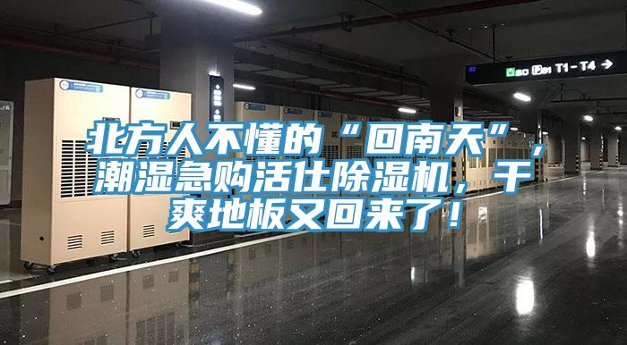 北方人不懂的“回南天”，潮濕急購活仕除濕機，干爽地板又回來了！