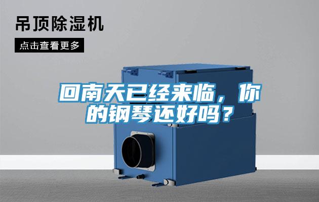 回南天已經(jīng)來臨，你的鋼琴還好嗎？