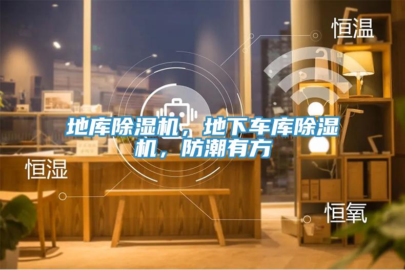 地庫(kù)除濕機(jī)，地下車庫(kù)除濕機(jī)，防潮有方