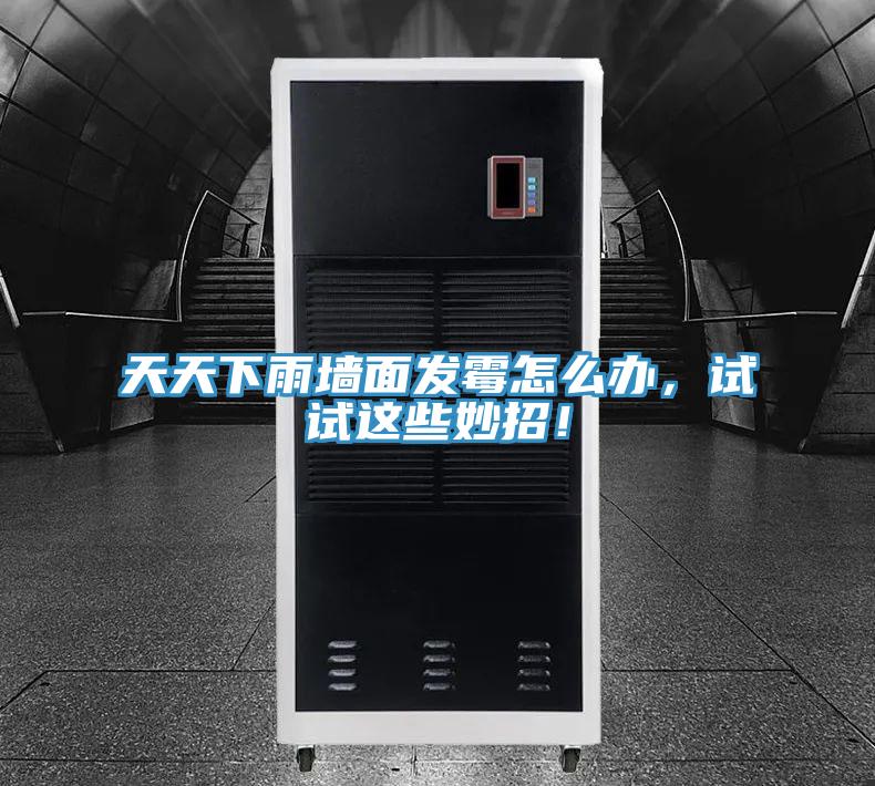 天天下雨墻面發(fā)霉怎么辦，試試這些妙招！
