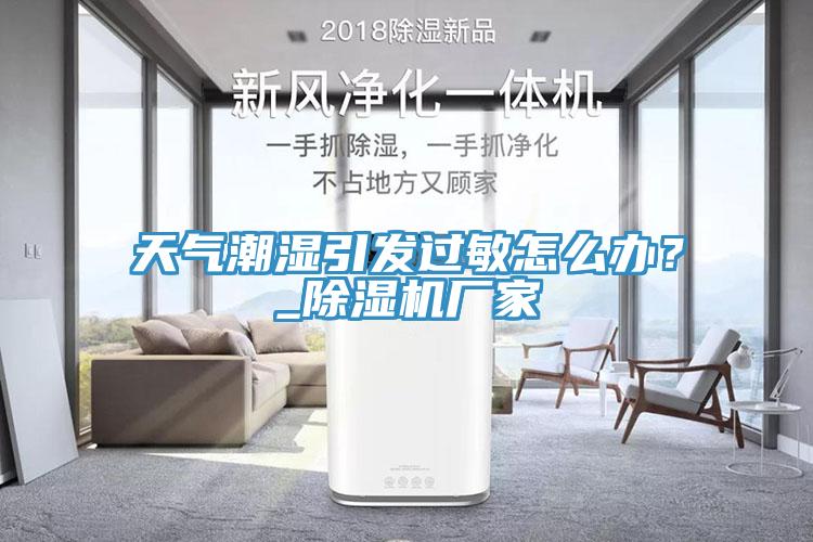 天氣潮濕引發(fā)過敏怎么辦？_除濕機(jī)廠家