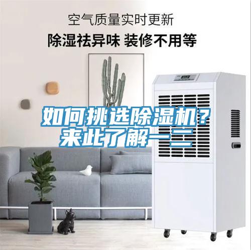 如何挑選除濕機？來此了解一二