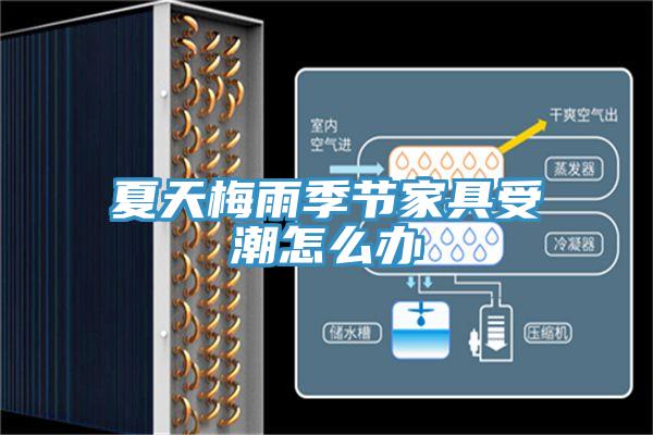 夏天梅雨季節家具受潮怎么辦