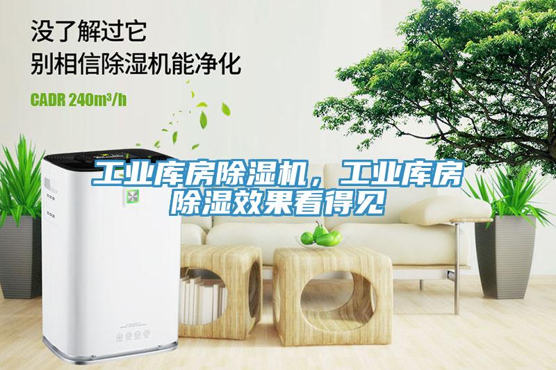 工業(yè)庫(kù)房除濕機(jī)，工業(yè)庫(kù)房除濕效果看得見(jiàn)