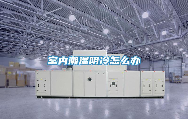 室內潮濕陰冷怎么辦