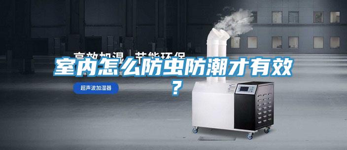 室內怎么防蟲防潮才有效？