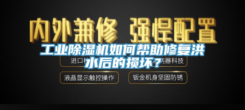 工業(yè)除濕機如何幫助修復洪水后的損壞？
