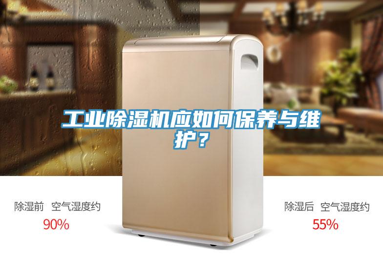 工業除濕機應如何保養與維護？