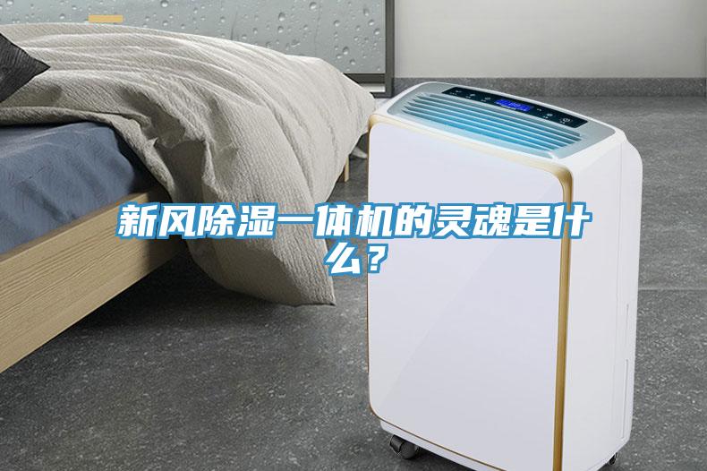 新風(fēng)除濕一體機(jī)的靈魂是什么？