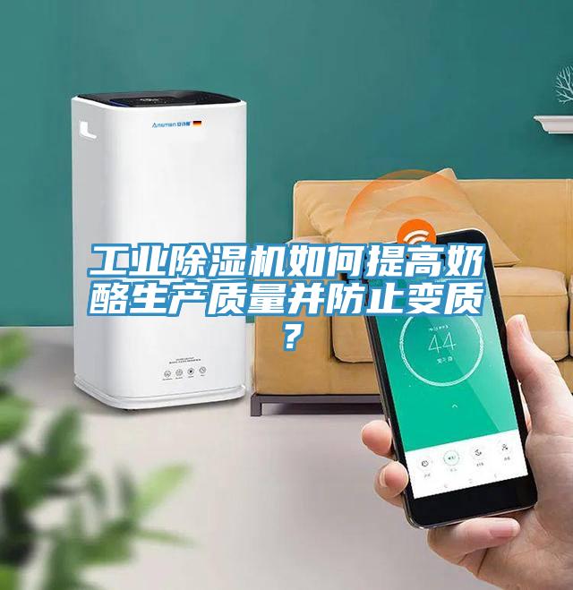 工業(yè)除濕機如何提高奶酪生產(chǎn)質(zhì)量并防止變質(zhì)？