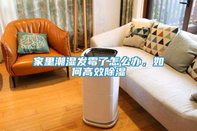 家里潮濕發(fā)霉了怎么辦，如何高效除濕