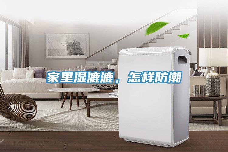 家里濕漉漉，怎樣防潮