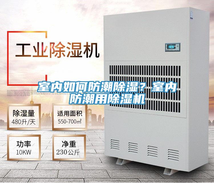 室內如何防潮除濕？室內防潮用除濕機