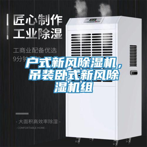 戶式新風(fēng)除濕機，吊裝臥式新風(fēng)除濕機組