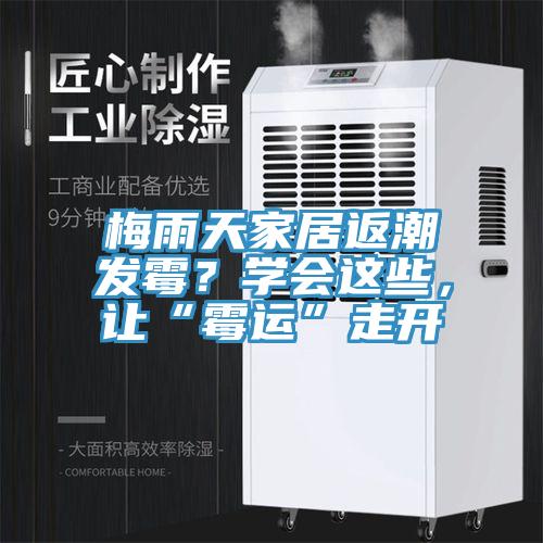 梅雨天家居返潮發霉？學會這些，讓“霉運”走開