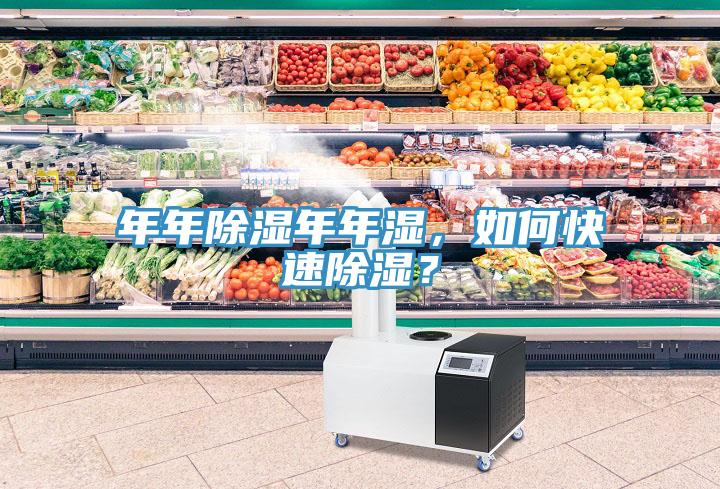 年年除濕年年濕，如何快速除濕？