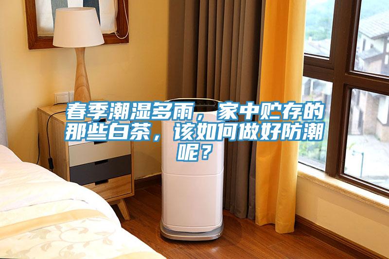 春季潮濕多雨，家中貯存的那些白茶，該如何做好防潮呢？