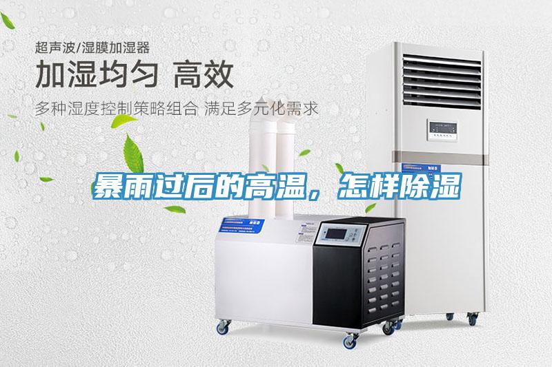 暴雨過后的高溫，怎樣除濕