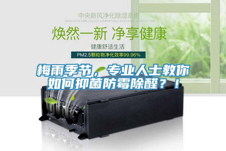 梅雨季節(jié)，專業(yè)人士教你如何抑菌防霉除醛？！