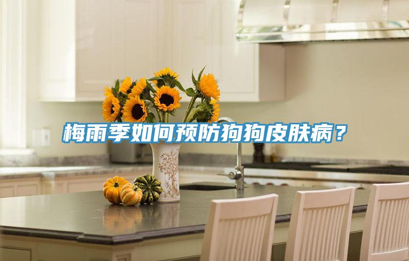梅雨季如何預(yù)防狗狗皮膚病？
