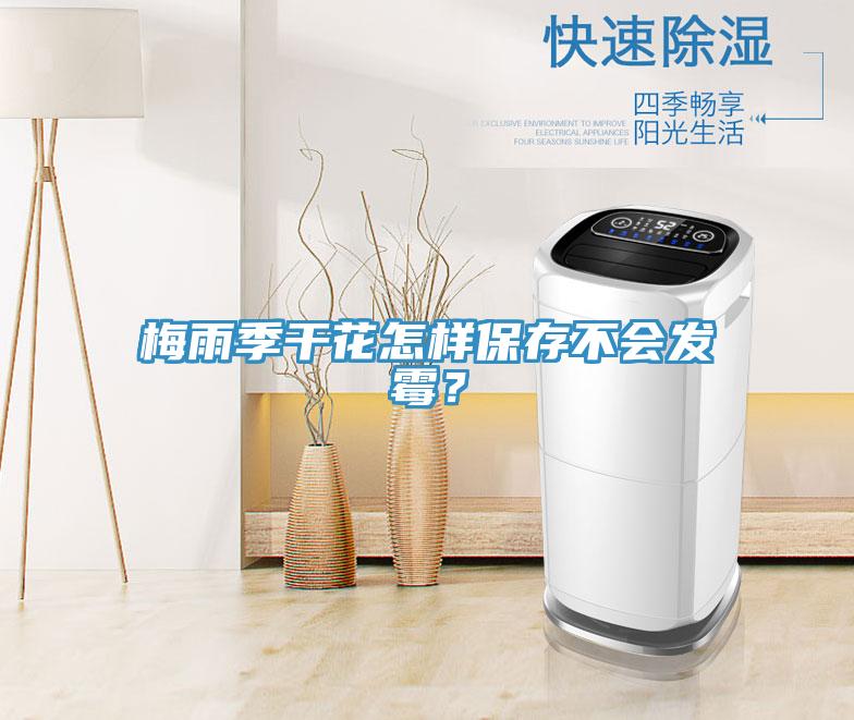 梅雨季干花怎樣保存不會(huì)發(fā)霉？
