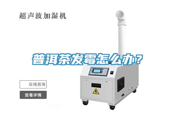 普洱茶發(fā)霉怎么辦?