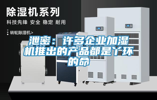泄密：許多企業加濕機推出的產品都是丫環的命