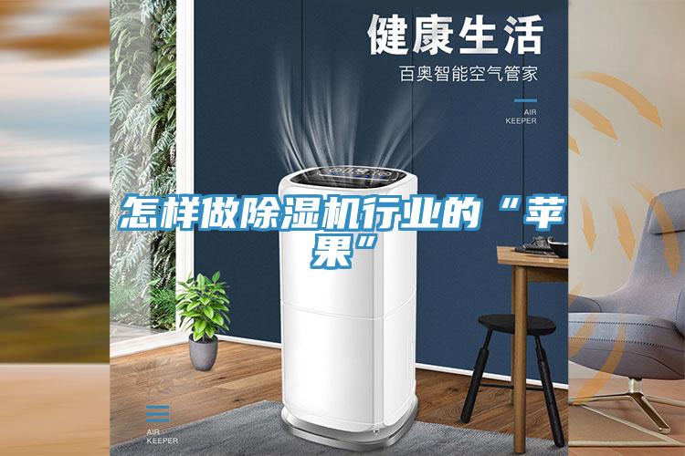 怎樣做除濕機(jī)行業(yè)的“蘋(píng)果”