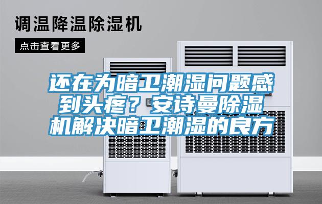 還在為暗衛(wèi)潮濕問題感到頭疼？安詩曼除濕機(jī)解決暗衛(wèi)潮濕的良方