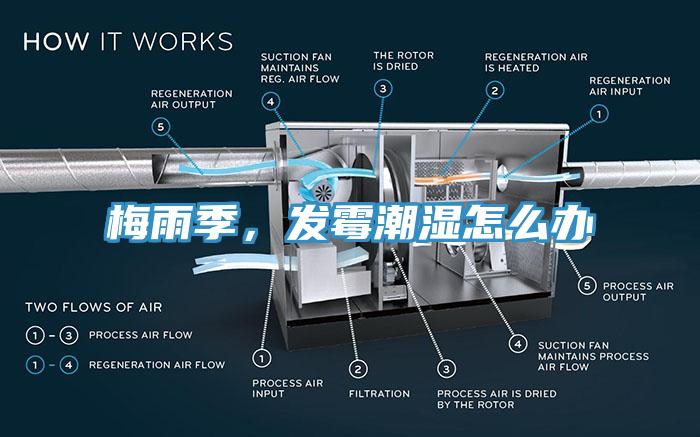 梅雨季，發(fā)霉潮濕怎么辦