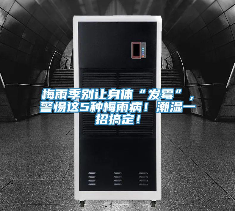 梅雨季別讓身體“發(fā)霉”，警惕這5種梅雨??！潮濕一招搞定！