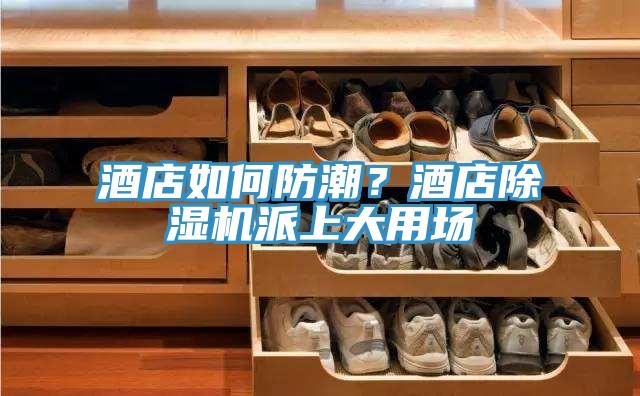 酒店如何防潮？酒店除濕機派上大用場
