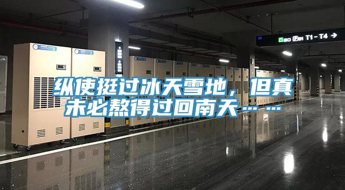 縱使挺過冰天雪地，但真未必熬得過回南天……
