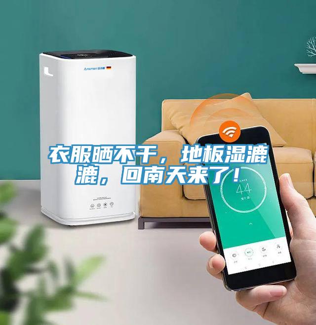 衣服曬不干，地板濕漉漉，回南天來了！